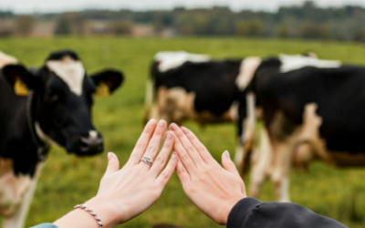 La Sucesión en la Empresa Agropecuaria: Una Encrucijada entre Tierra, Familia y Gestión